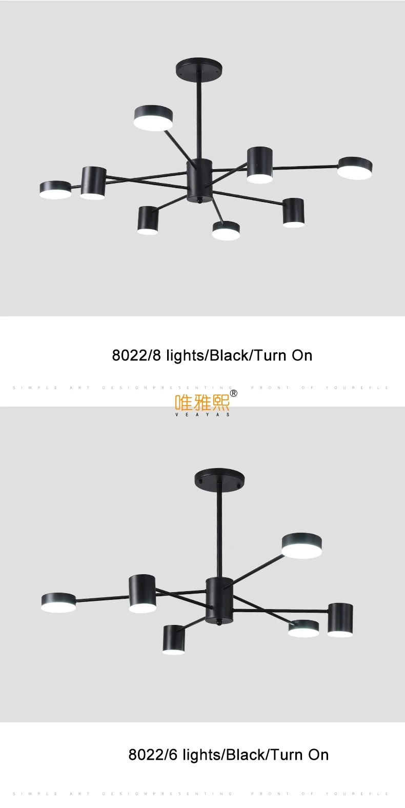 LX-8022 (10)