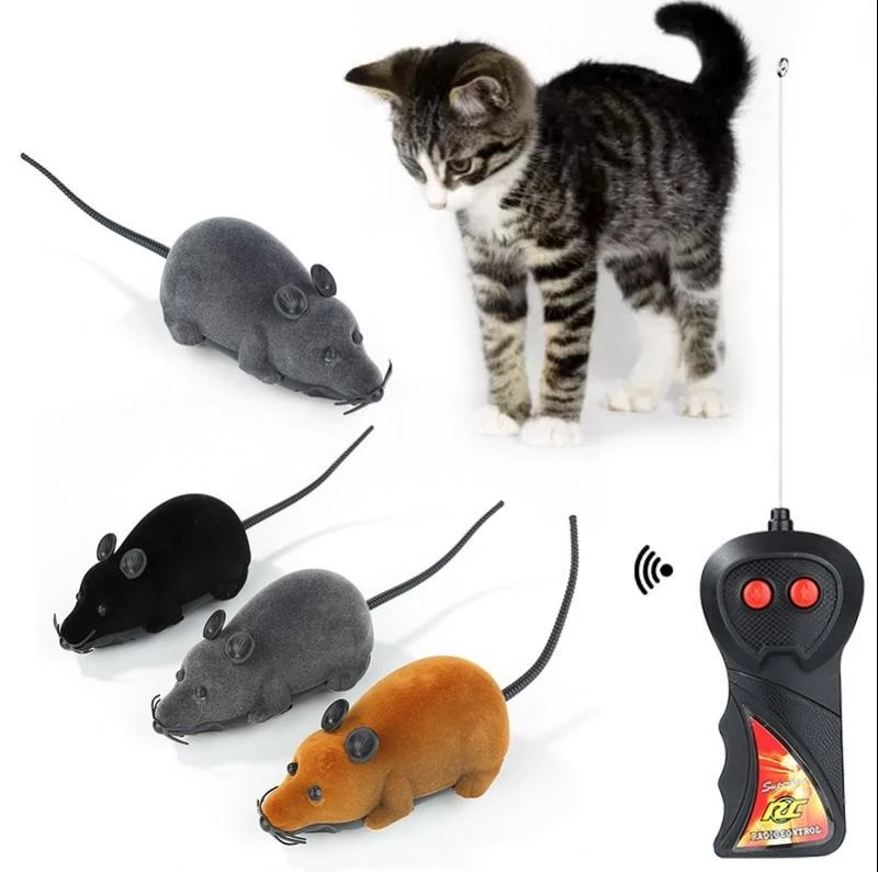 remote cat toys