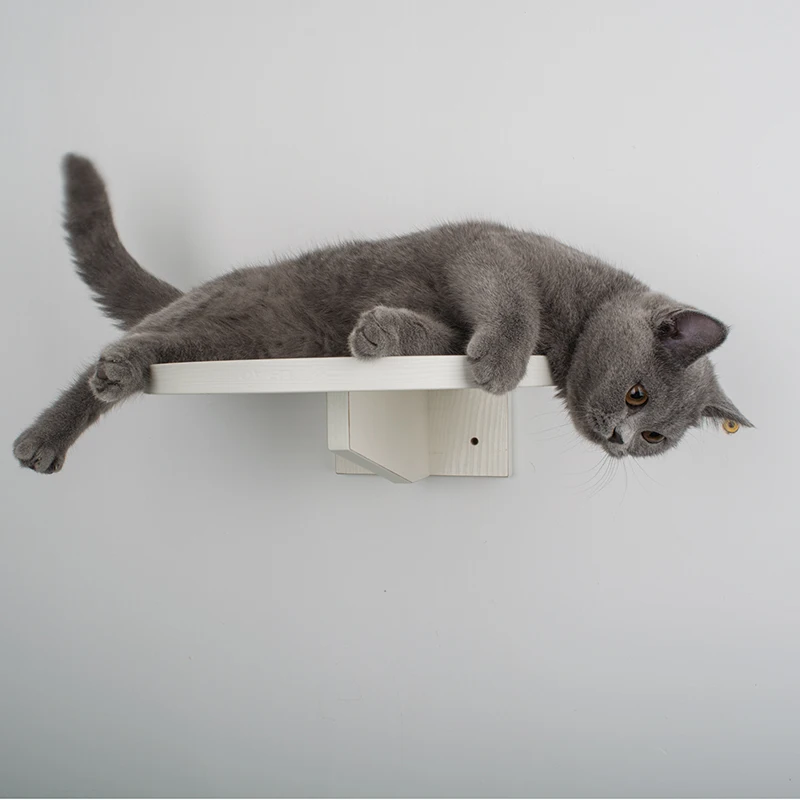 Игрушка для кошек круглая Весенняя подставка платформа кошачий помет альпинистская мебельная фурнитура настенные игрушки