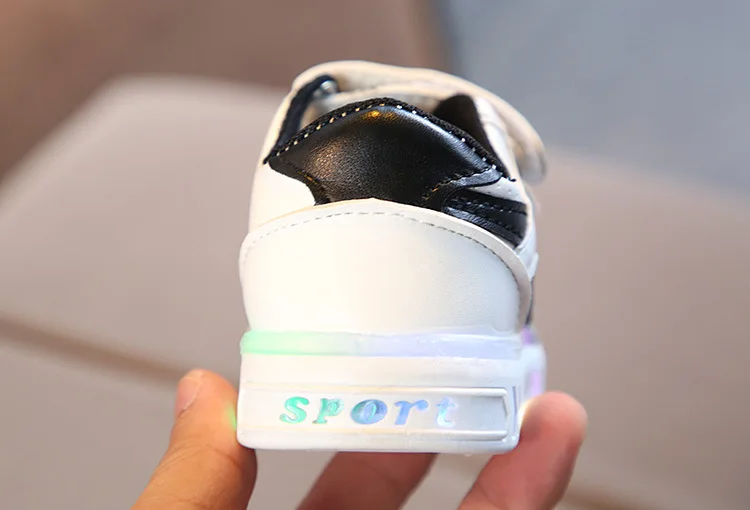 9072216086_947382569