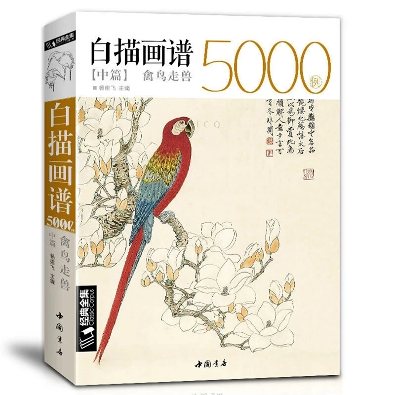 Tanio 5000 chińska linia rysunki książka do kolekcji II ptak