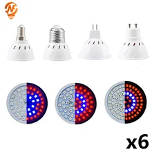Bombillas y tubos LED