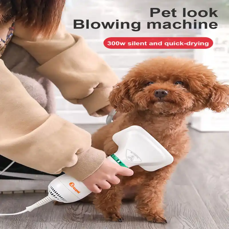 2イン1ポータブル犬ドライヤー犬ヘアドライヤーとくしブラシペットグルーミング猫ヘアコーム犬毛皮送風機低ノイズ犬用品 犬用櫛 Aliexpress