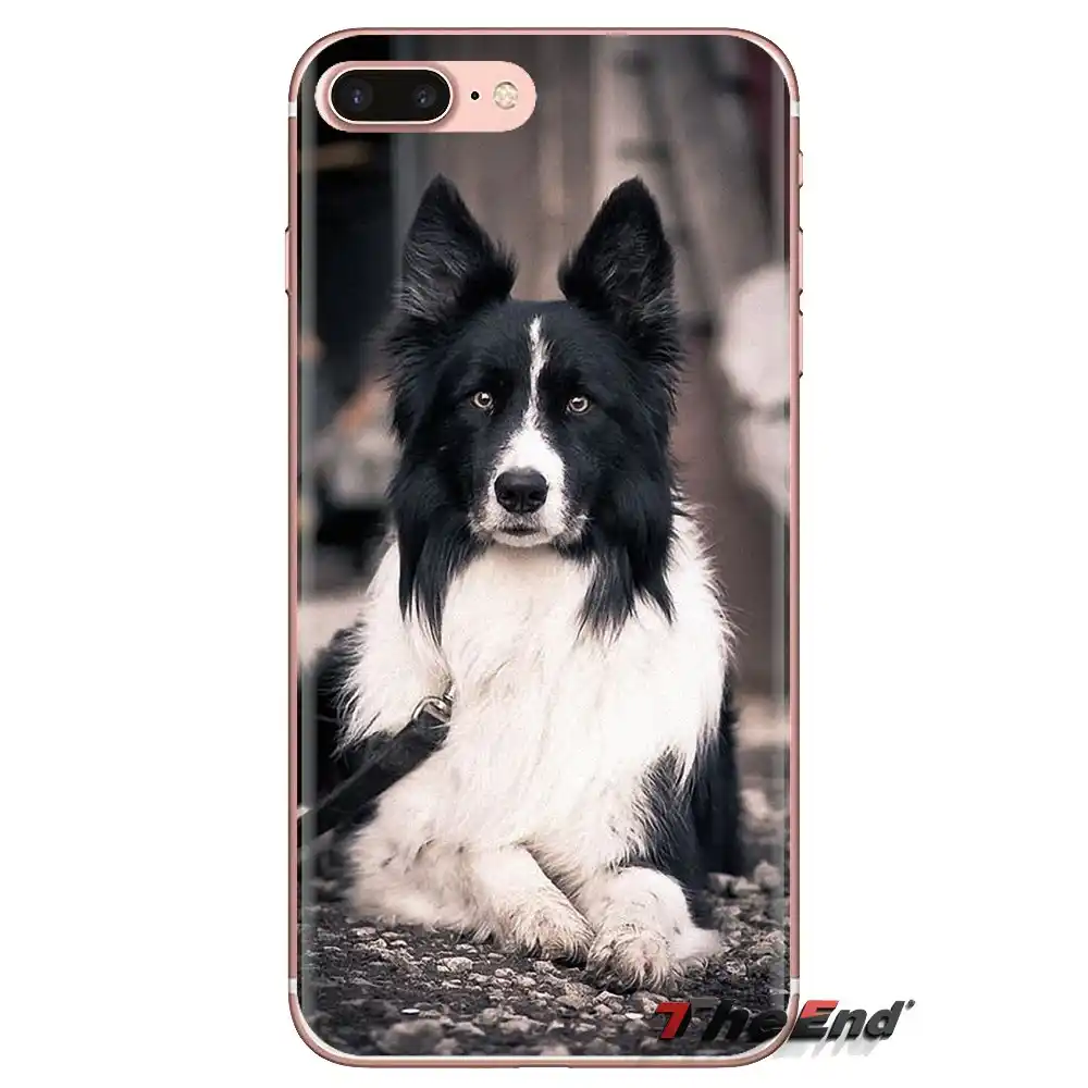 Silicone Phone Skin Case Border Collie Dog Puppy For Huawei G7 G8 P7 P8 P9 P10 P20 P30 Lite Mini Pro P Smart Plus 2017 2018 2019 Fitted Cases Aliexpress - cute silicone phone case games roblox logo poster for huawei p8 p9 p10 p20 p30 p smart 2019 honor mate 9 10 20 8x 7a 7c pro lite aliexpress