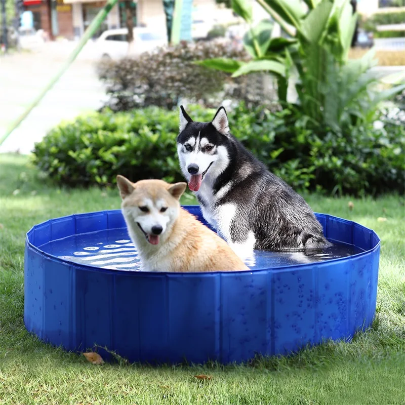 Piscine d'été pour grands chiens, baignoire intérieure en PVC, imperméable,  durable, coordonnante, pour enfants et chiots