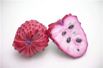 20 шт. Soursop бонсай фрукты, Graviola Annona муриката сладкий СОП вкусные фрукты бонсай сахар яблоко Annona дерево растение в бонсай - Цвет: 15