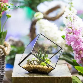 

NCYP Modern Geometric Terrarium FlowerPot Tabletop Succulent Fern Moss Plant Clear Micro Landscape Glass Terrarium Flower Pot