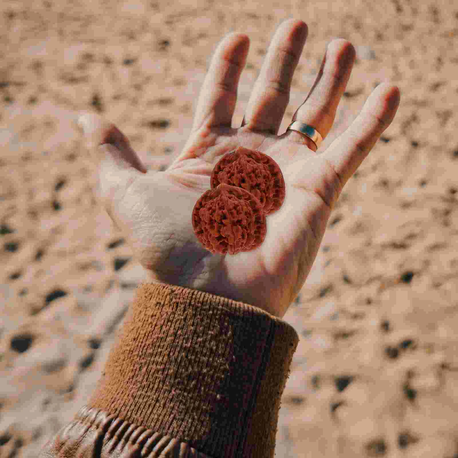 Рисунок 5 - Грецкий орех, китайский фитнес-мяч для отдыха