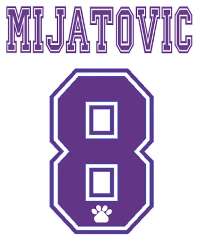1996 Ретро#8 MIJATOVIC#7 RAUL#3 R. CARLOS Nameset печать тепловой печати футбольная нашивка значок