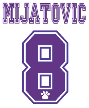 

1996 Retro #8 MIJATOVIC #7 RAUL #3 R.CARLOS Nameset Printing Heat Print Football Soccer Patch Badge
