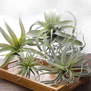 

Octopus Artificial Fake Plant Flocking Air Grass Handmade Plastic Wedding Simulation Fake Flower Plant Window Home Decoration