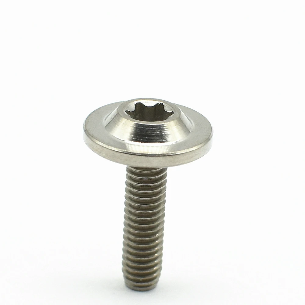 M4x15 TORX Head  (1)