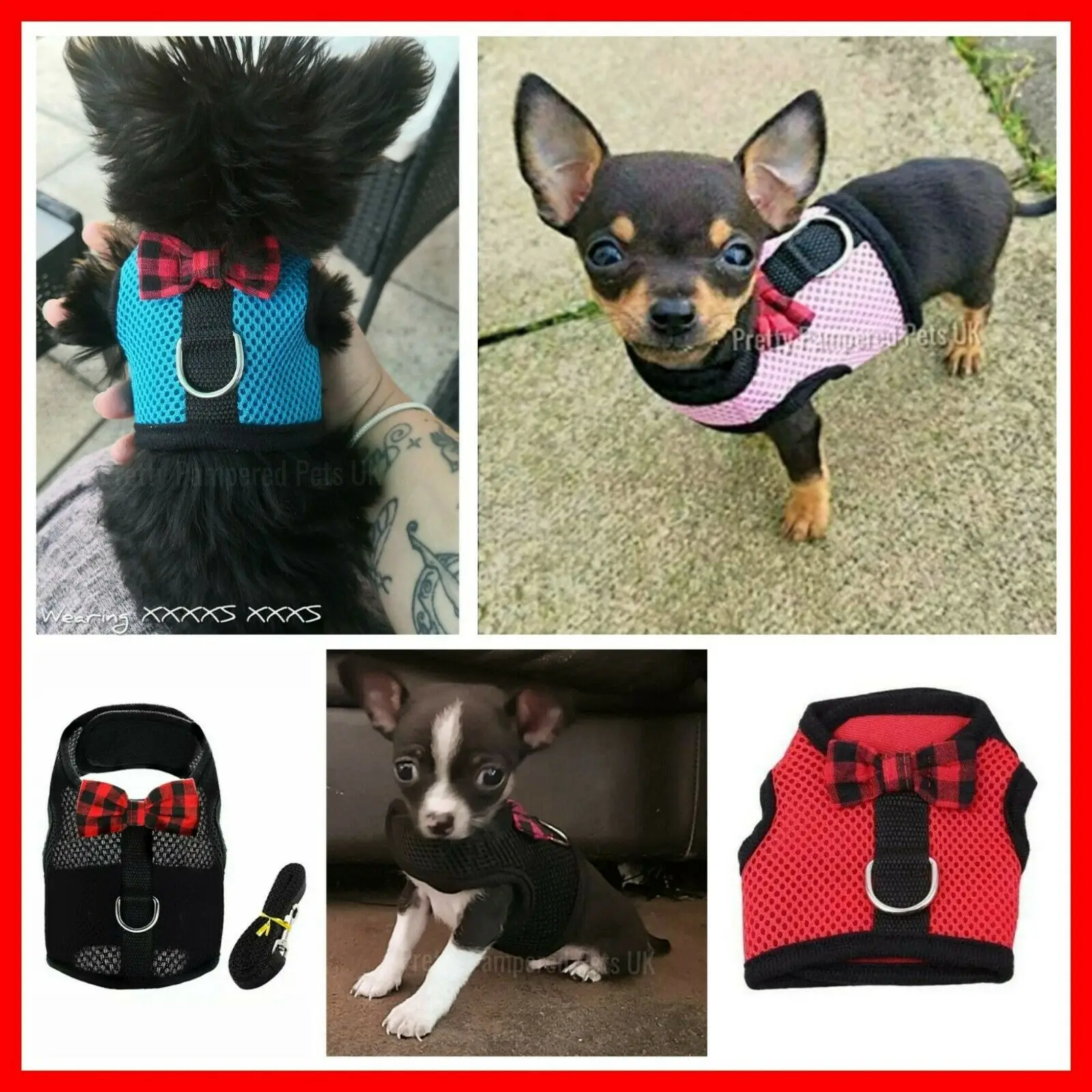 Pet Harness Set Pet Harness Leash Set Pet Leash Set XXXS XXS XS Puppy Dog Teacup Chihuahua Harness Lead Mesh Vest for Tiny Kitty Cat Yorkie Maltese Rabbit Kitten Harness Vest