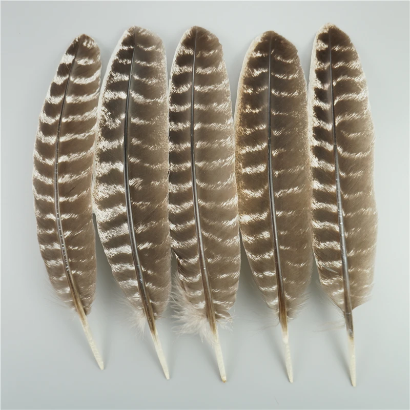 Natural Eagle Feathers 10Pcs/Lot For Crafts Plume Headdress Accessories Holiday Decoration Carnival Feather DIY Handicraft Decor
