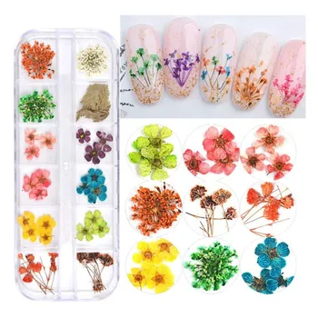 

Dried Flower Nail Sticker DIY 3D Nail Decoration 12 Colors 3D Decoration Real Dry Dried Flower Dazzling Tips Nail Sticker Sequin