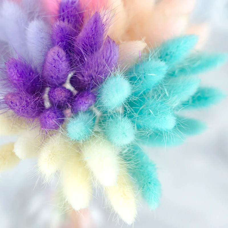 11936792835_2017958918