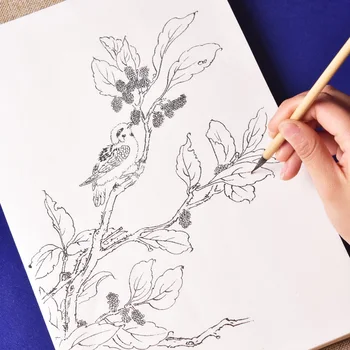 97 fogli disegno a tratteggio pittura manoscritto pratica di disegno a tratteggio di frutta e verdura per principianti pittura ad acquerello colorazione