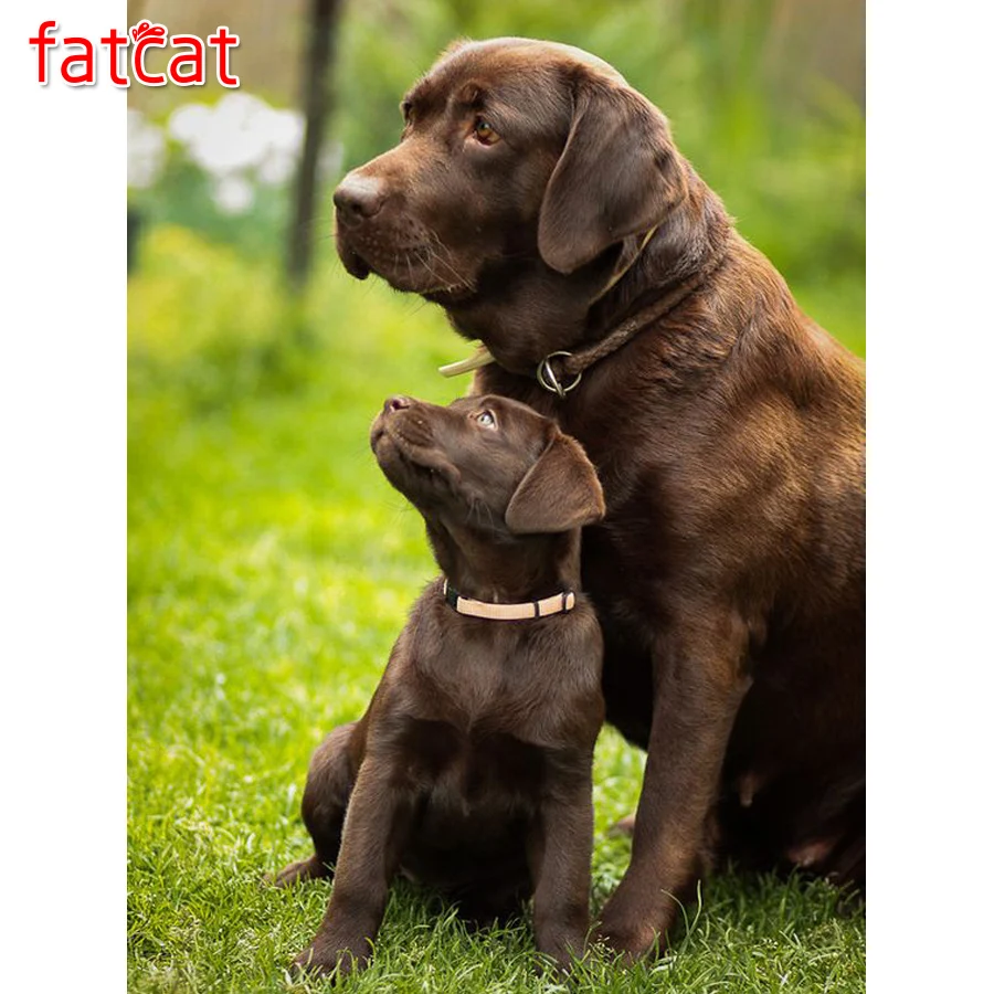 

FATCAT Full square Round drill Diamond embroidery Labrador dog 5D DIY diamond Painting cute pet Rhinestone Mosaic puppies AE439