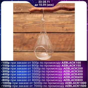 

Florarium "drop" (d-5cm) 8*16 cm, with rope