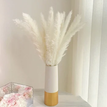 MEJOR COMPRA ❤️ Plantas artificiales de colores, ramas de juncos naturales y flores secas, pasto de pampa phragmites, flor falsa, ideal para decoración de bodas y para el hogar - discount item 31% OFF Casa y jardín