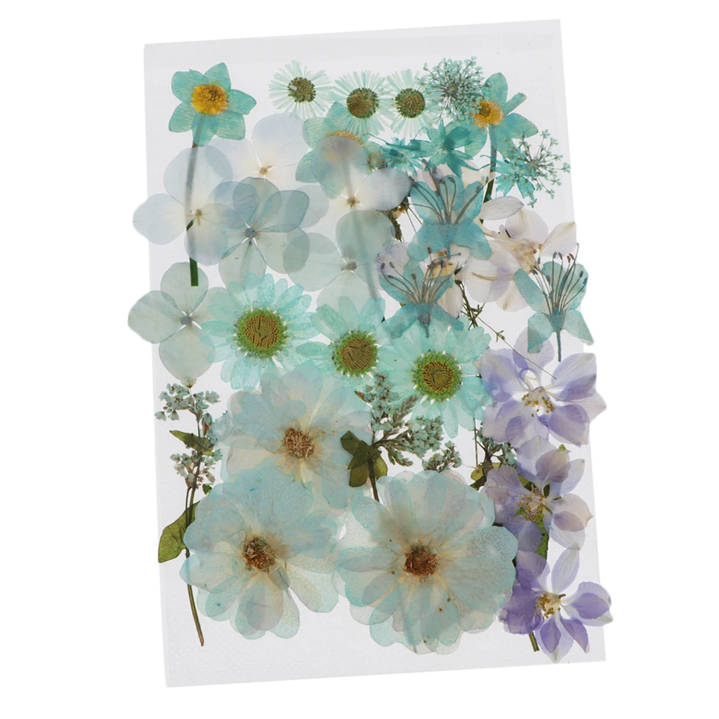 Natural Dried Flowers Leaves DIY Floral Arts Crafts for Wedding Face Phone