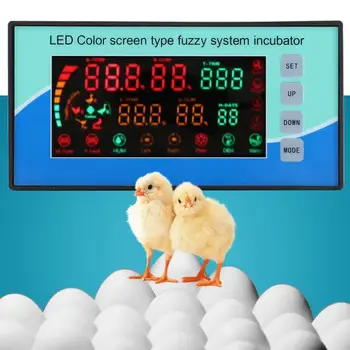 

Farm Animal Feeding Eqipment Thermostat Regulator Incubator Egg Hygrostat Microcomputer Automatic Temperature Control Sensor