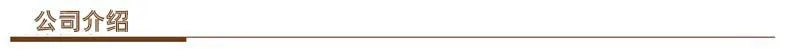 Manufacturers Direct Selling 9-Color Solid Egg Crayon Color Modeling Paintbrush Set Children Crayon Brush Wholesale