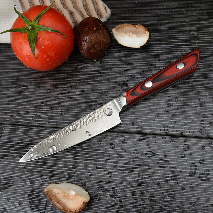 

EVERRICH® 5 Inch Cleaver Knife Damascus Steel for Professional Cutting Chopping Cooking Meat Steak Fish Vegetables and More