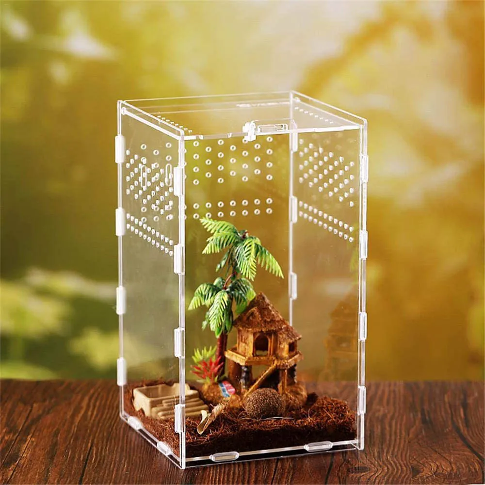Terrario de reptil de insectos, caja de plástico transparente para alimentación de comida en vivo, serpiente, lagarto, Rana, casa, suministros para mascotas