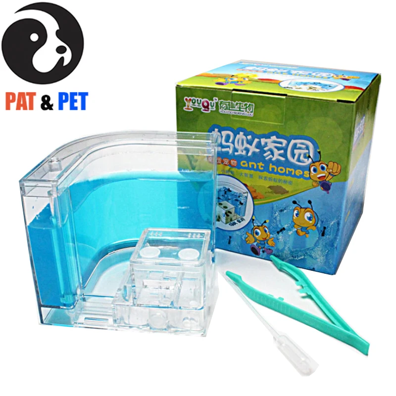 Ant Farm Acrylic With Eatable Gel Insect Ecology Box Science Educational Toy Ants Pet Reptile LED Ant Nest Class Room Item