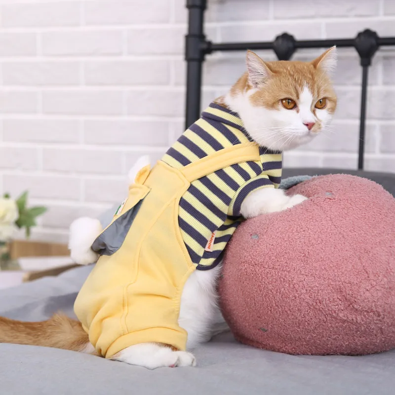 Hoopet Soft Puppy Cat Clothes Cute Pet Clothing Costume Casual for Small Pet Outfits Supplies Apparel 4 Feet