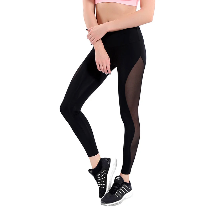 4320767536_1134533560 副本