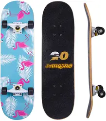 Skateboards for Age6-12 Complete Skateboard 31 inch for Kids Beginners Starters-7 Layer Canadian Maple Standard Long SkateBoards