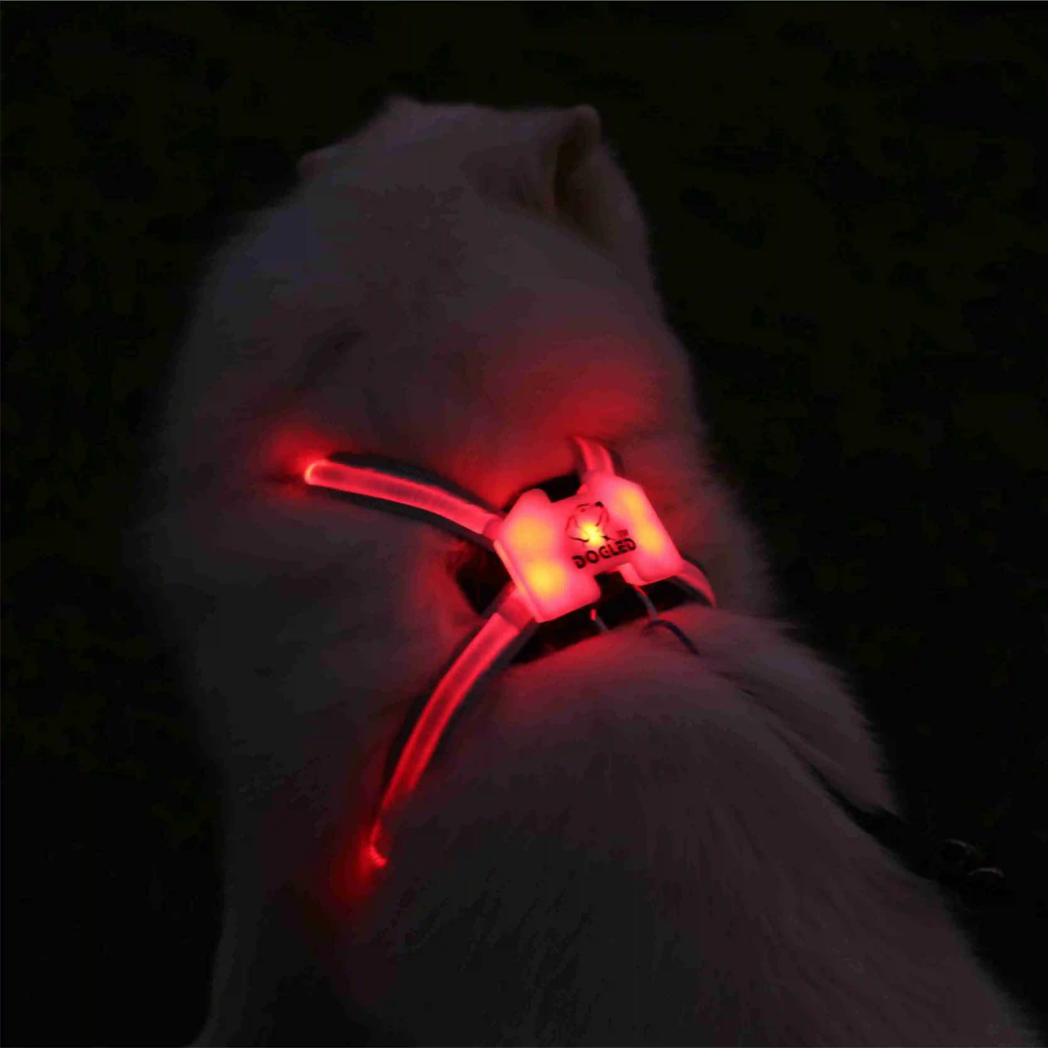Cc Simon Led Dog harness dog and leash set for large dogs Usb Rechargeable 7 color in 1 Large 2020 new | Дом и сад