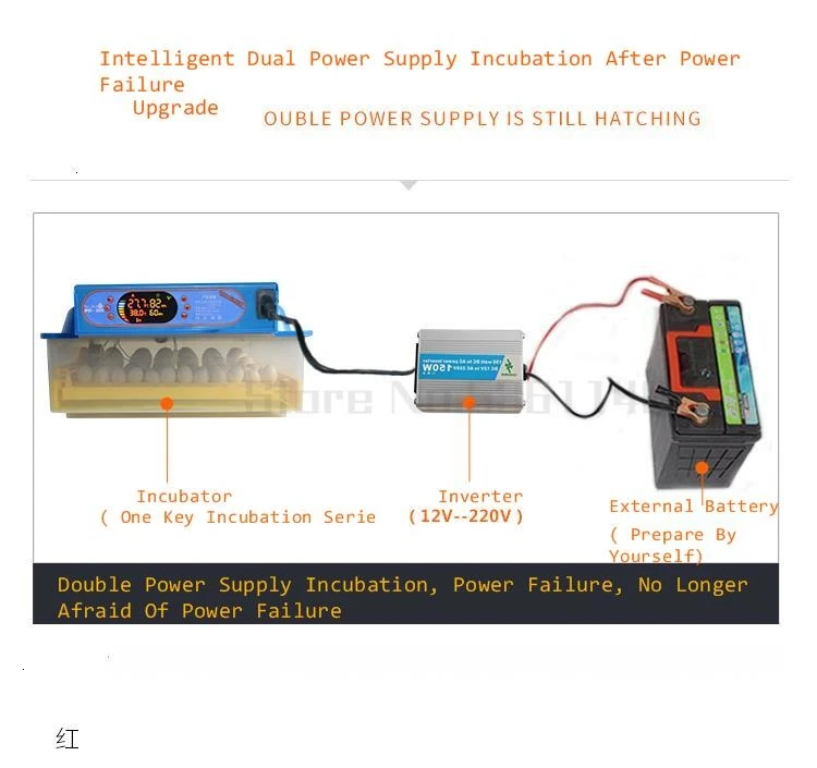Инкубатор для яиц с семи передачами влажности, точное измерение температуры, термостат для инкубатора, 12 В/220 В, производство Китай