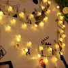 1.5M 3M 6M LED Crystal Ball Garland String Lights Flash Indoor Holiday Lamp 10/20/40 LED Fairy Lights Battery/USB Operated ► Photo 3/6