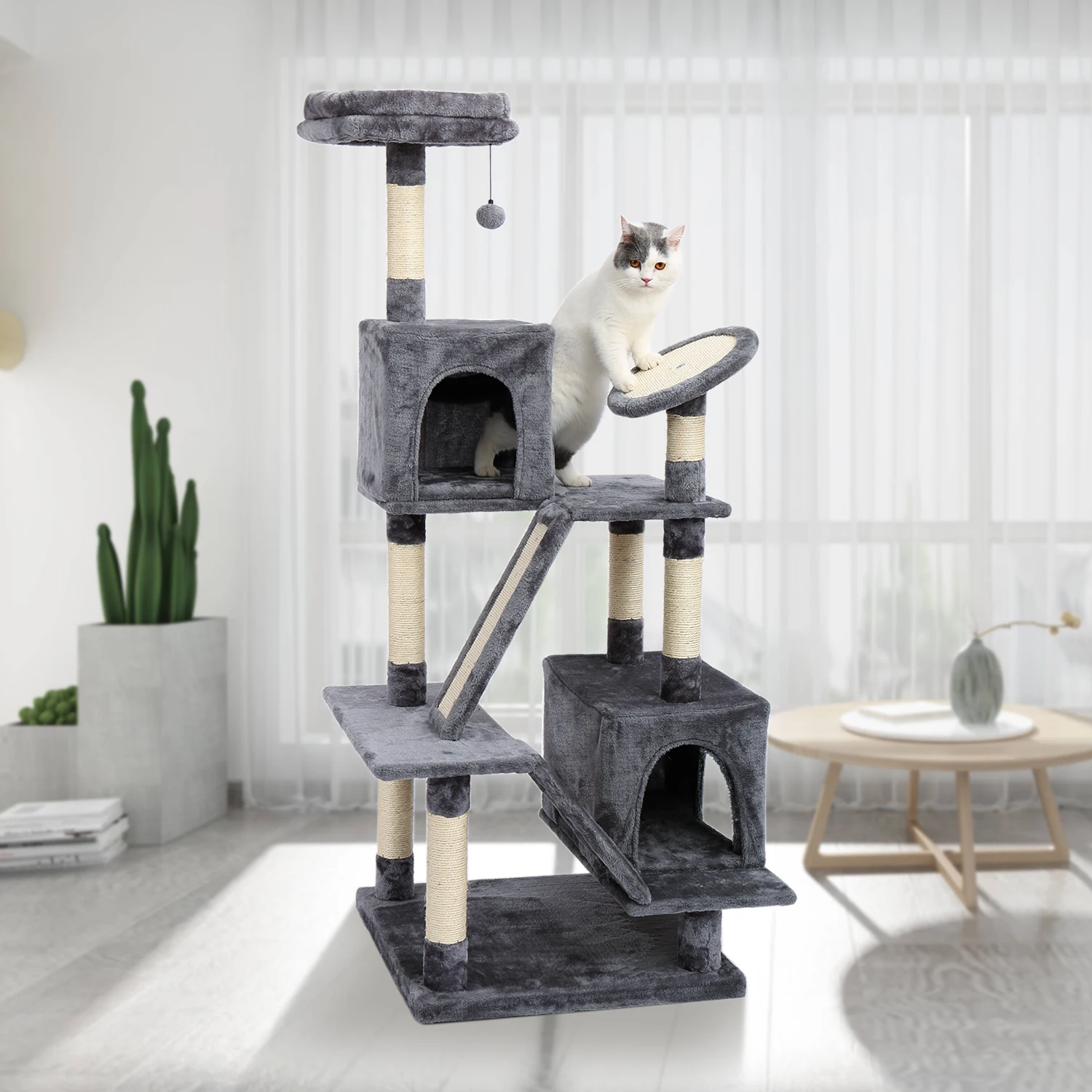 cat activity center