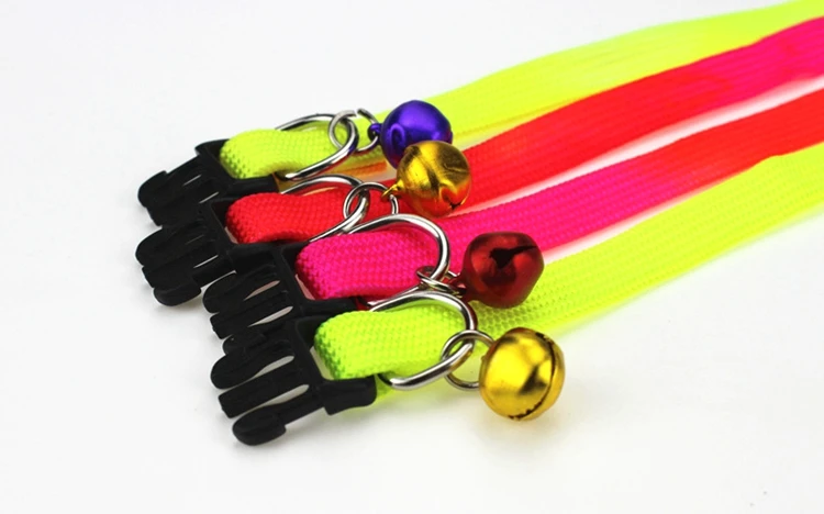 dog collars (4)