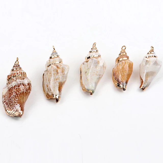 5pcs Mix colour Seashells For Crafts Accessories Home Decor DIY Jewelry  Gold Plated Natural Shell Handmade