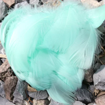 Mint Green 100 шт натуральное окрашенное гусиное перо перья для украшения дома для поделок Сделай Сам 7-10 см 3-4 дюйма перо отделка Ангел - Цвет: Mint Green