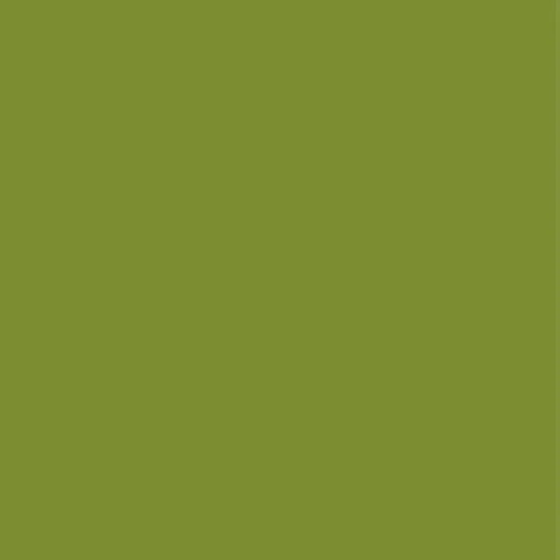 Army Green Зимнее женское высококачественное пальто из искусственного кроличьего меха, роскошное длинное меховое пальто, Свободное пальто с отворотом, толстое теплое женское плюшевое пальто больших размеров - Цвет: Army Green