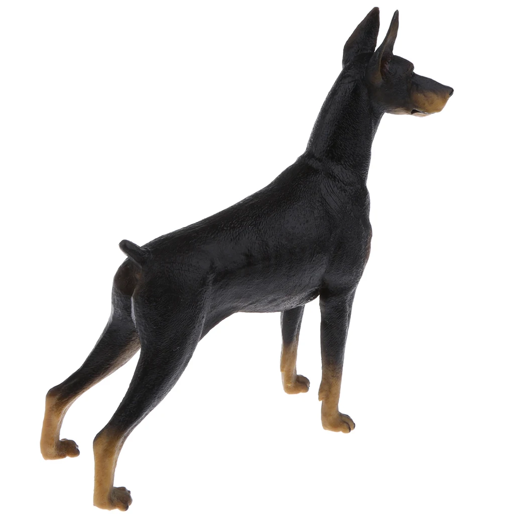 Realistic Doberman Model PVC Farm Animal Model Figurine Action Figures Playset Kids Educational Toy Collectibles