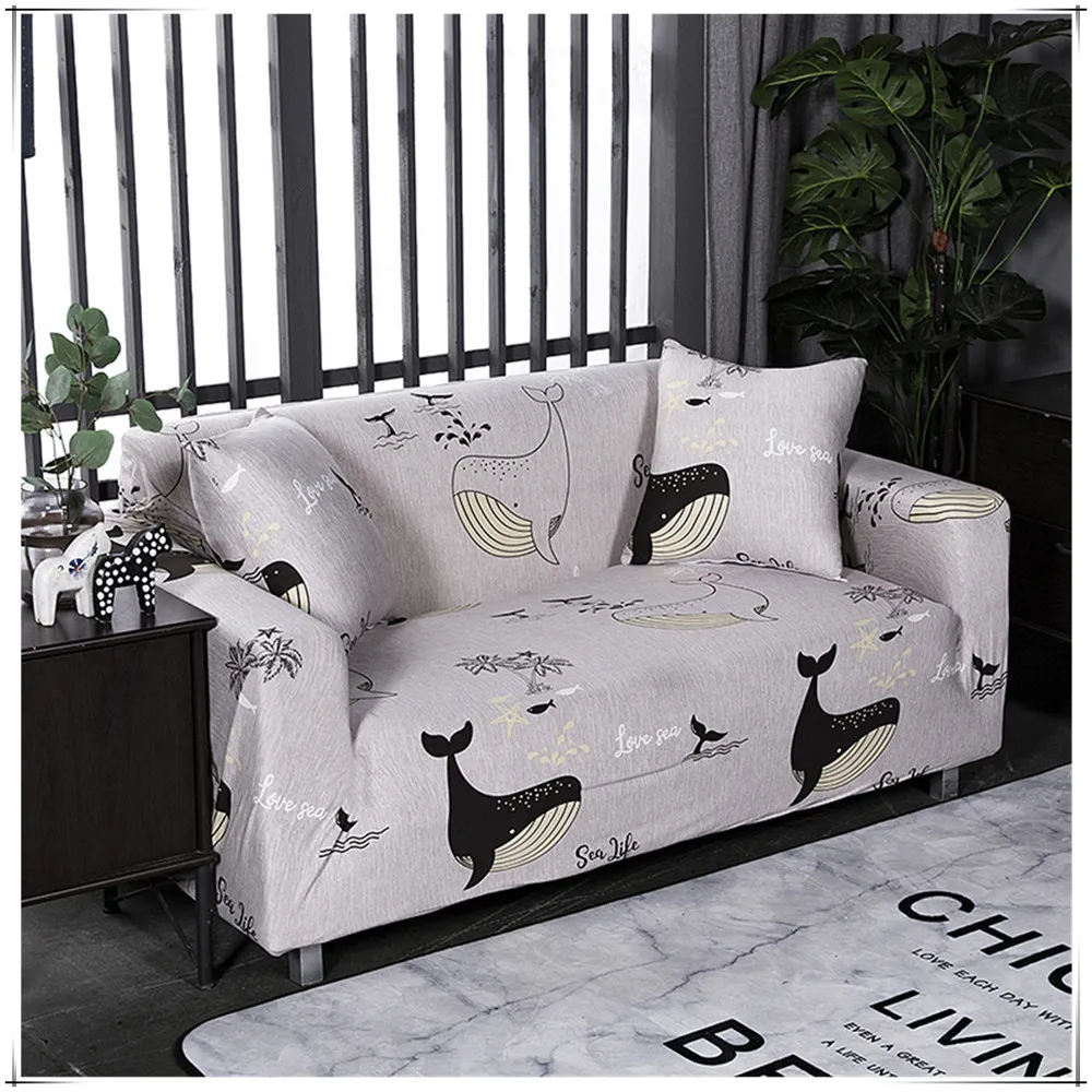 K海豚湾恋人 (3)