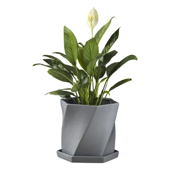 

Simple Ceramic Flowerpot With Tray Creative Modern Geometric Polygon Green Rose Chlorophytum Fleshy Flowerpot