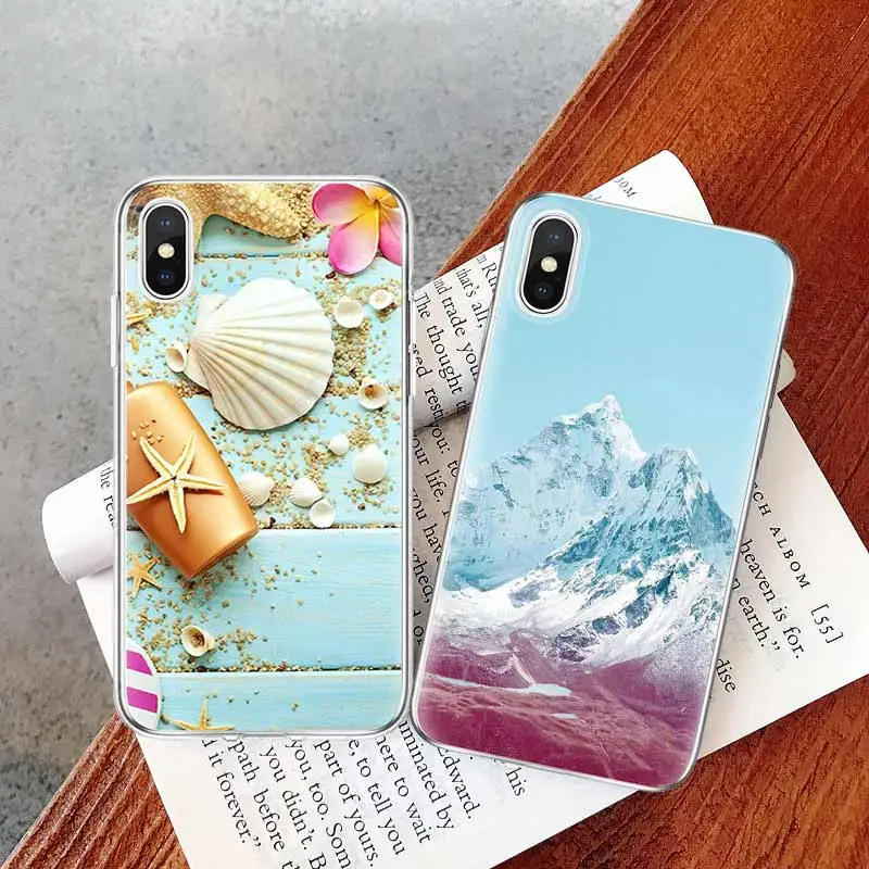 海星贝壳、红色冰山-1