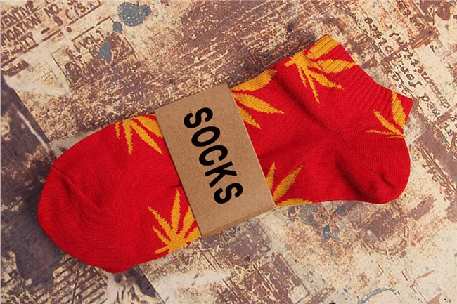 QQ截图20170408180029