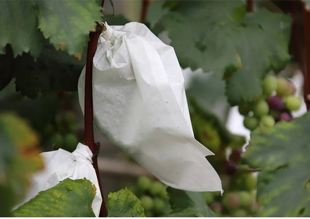 Fruit Plant Cover Bag Protector Bird Bees Pest Control Organic Non-woven Fabric
