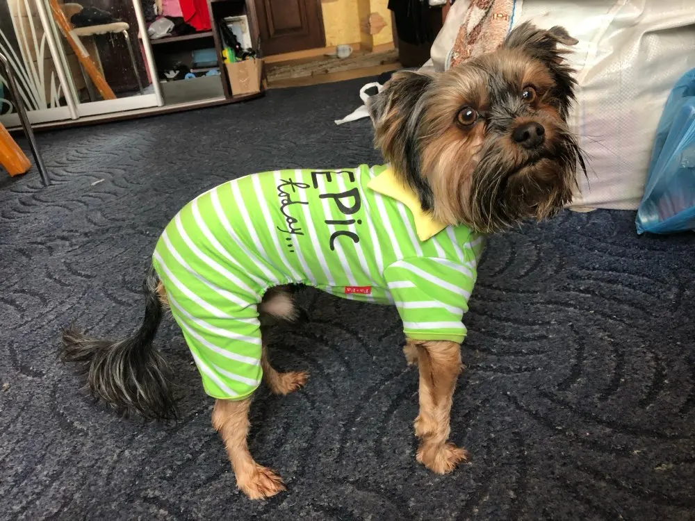 Uee8941916f3a4e7e90930928b6b10d74c