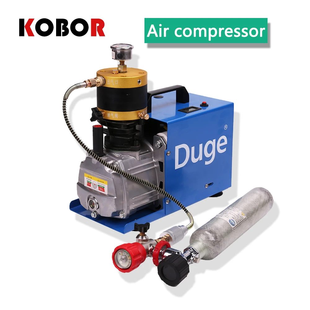 300bar/30MPA/4500psi High Pressure Air Compressor 220v Pcp Pump Pcp Air  Rifle Car Pump 12 V Pcp Compressor Pcp Submersible Pump - AliExpress