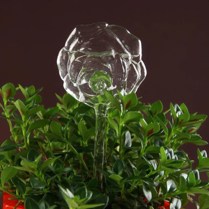 6 типов комнатные растения Цветы вода автоматическая кормушка самостоятельно поливные устройства прозрачное стекло подачи воды птица форма вазы